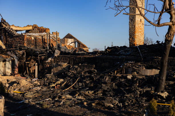 Reliable Board Up Services contractor in Windermere, FL by Meridian Smoke Damage